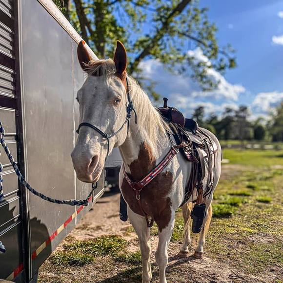 Meet your Posher, Alaina - Picture 1 of 1